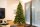EVERGREEN Künstlicher Weihnachtsbaum Roswell Kiefer, 210 cm