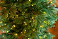 EVERGREEN Künstlicher Weihnachtsbaum Roswell Kiefer, Inkl. LEDs, 150 cm