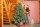 EVERGREEN Künstlicher Weihnachtsbaum Vermont Fichte, 129x129x180cm