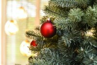 EVERGREEN Künstlicher Weihnachtsbaum Vermont Fichte, 150x150x210cm