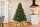 EVERGREEN Künstlicher Weihnachtsbaum Vermont Fichte, 150x150x210cm