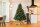EVERGREEN Künstlicher Weihnachtsbaum Vermont Fichte, 150x150x210cm