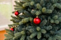 EVERGREEN Künstlicher Weihnachtsbaum Vermont Fichte, 160x160x240cm