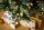 EVERGREEN Künstlicher Weihnachtsbaum Vermont Fichte, Inkl. LEDs, 150x150x210cm