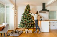 EVERGREEN Künstlicher Weihnachtsbaum Vermont Fichte, Inkl. LEDs, 160x160x240cm
