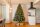 EVERGREEN Künstlicher Weihnachtsbaum Vermont Fichte, Inkl. LEDs, 160x160x240cm