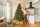 EVERGREEN Künstlicher Weihnachtsbaum Vermont Fichte, Inkl. LEDs, 160x160x240cm