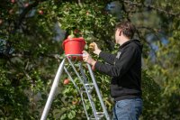 NIWAKI Gartenleiter 3-Holm Leiter mit 8 Sprossen
