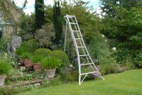 NIWAKI Gartenleiter 3-Holm Leiter mit 10 Sprossen