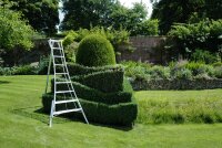 NIWAKI Gartenleiter 3-Holm Leiter mit 9 Sprossen höhenverstellbar