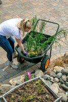 POLAR Schubkarre Club Cart 198L, 127x71x74cm