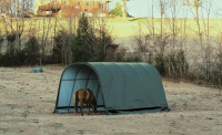 SHELTERLOGIC Weidezelt Run-In-Shed 610x400x300cm