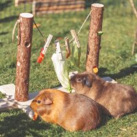 Trixie Futterbaum Duo für Nager 53 x34 x25 cm