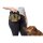 HUNTER Gürteltasche Bugrino Profi 22 x 18,5 cm Schwarz/Beige